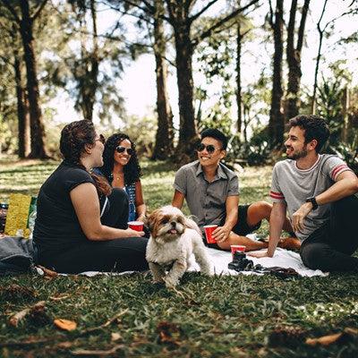 Gezonder leven: 10 tips voor een gezonde levensstijl - Svensson.club